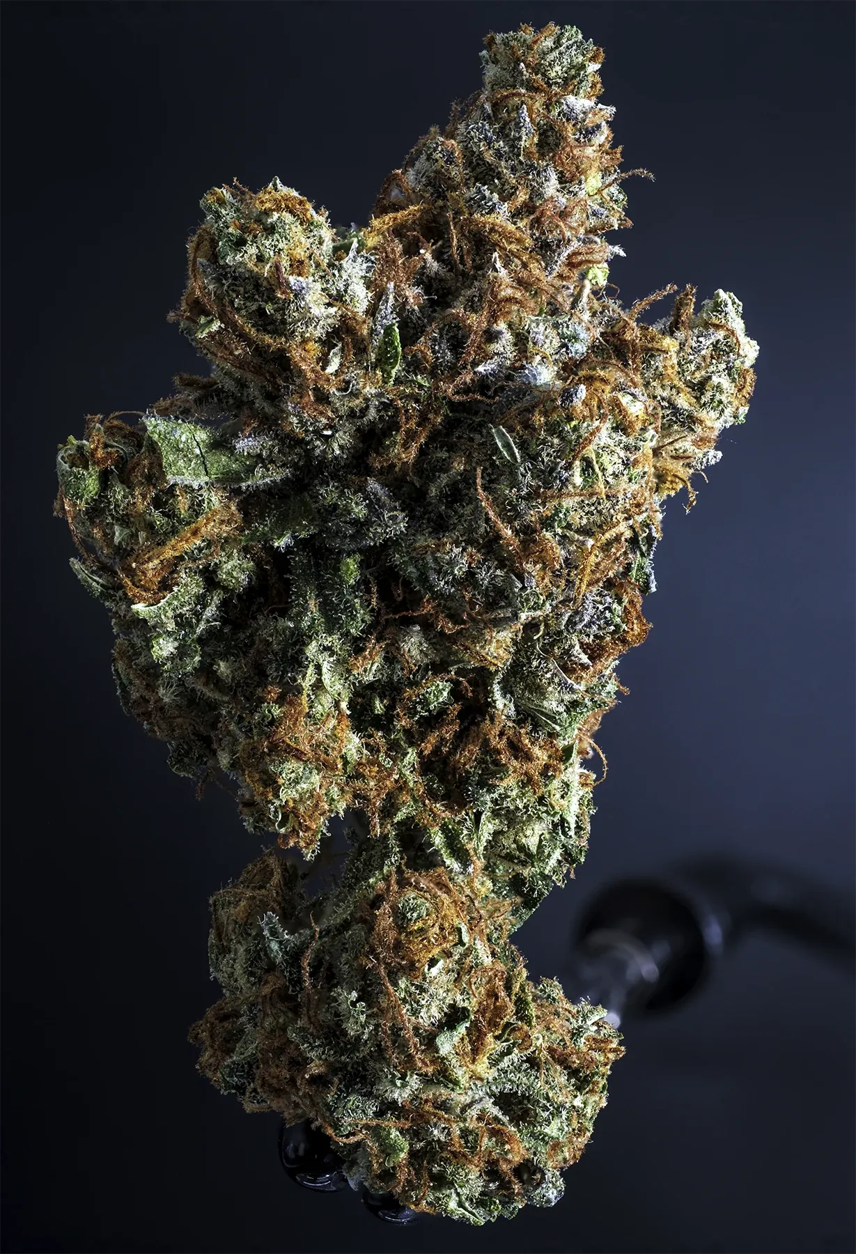 Pineapples & Bananas gallery image
